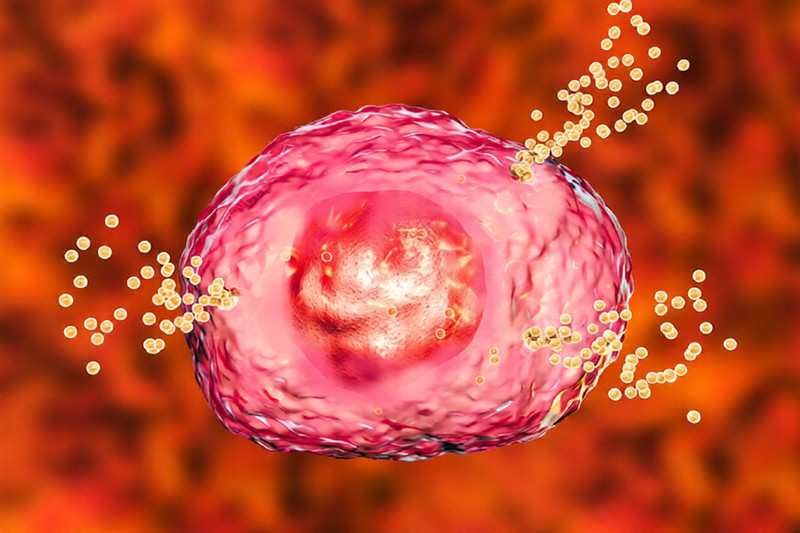 How to Reduce MCAS & Histamine Symptoms: Evidence-Based Strategies That Work